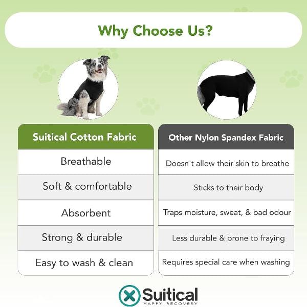 Premium Dog Recovery Suit - Suitical Brand for Post - Surgery and Various Conditions