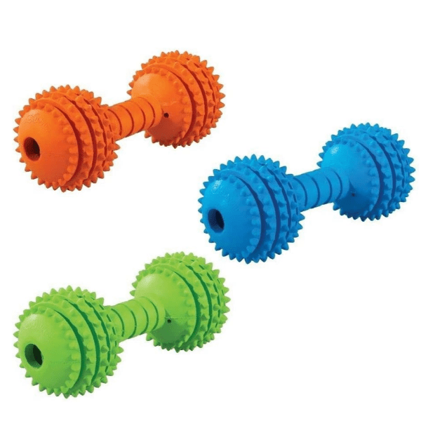 JW Pet Chompion High - Quality Rubber Dog Chew and Play Toy