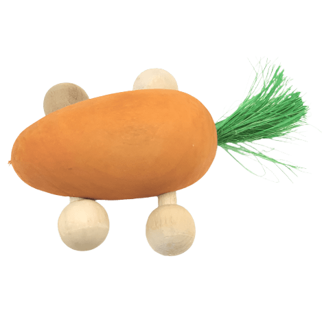 Fun and Dental - Friendly Moss Hollow Rolling Carrot Wooden Pet Toy