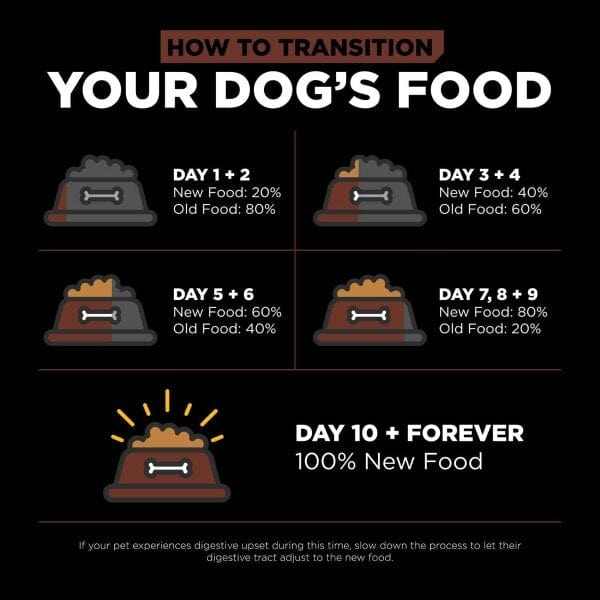 Go! Solutions Premium Dry Puppy Food for Large Breeds - Skin & Coat Care with Salmon and Grains Recipe