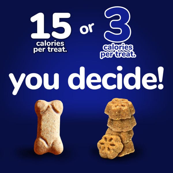 Fruitables Skinny Mini-sized Dog Treats with Pumpkin and Berry Flavors for Training and Daily Rewards