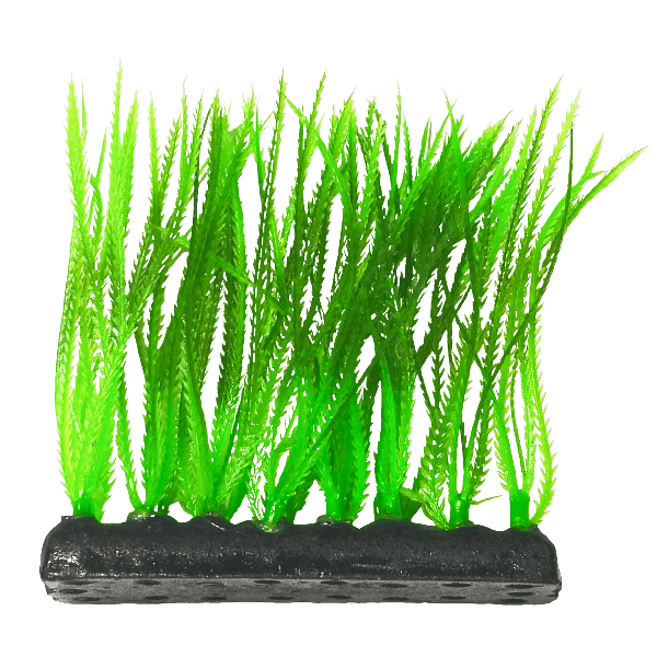 4 Pieces of Realistic Narrow Leaf Green Aquarium Plants for Foreground