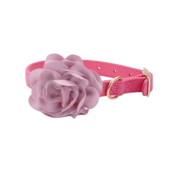 Coastal Fashionable Microfiber Dog Collar with Stylish Embellishments