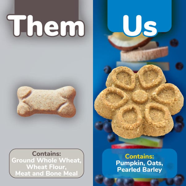 Fruitables Premium Biggies Dog Treats with Pumpkin and Blueberries