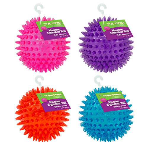 Gnawsome 3.5-Inch Medium Squeaker Ball with Spiky Texture for Dogs
