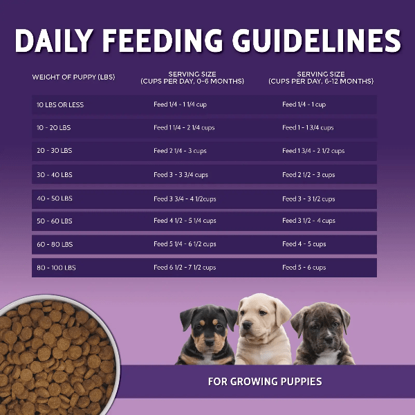 Zignature Puppy Premium Multi-Protein Dry Dog Food for Healthy Growth