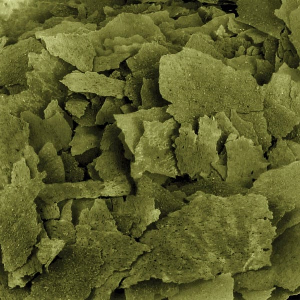 Fluval High - Quality Spirulina - Infused Bug Bites Flakes for Aquarium Fish