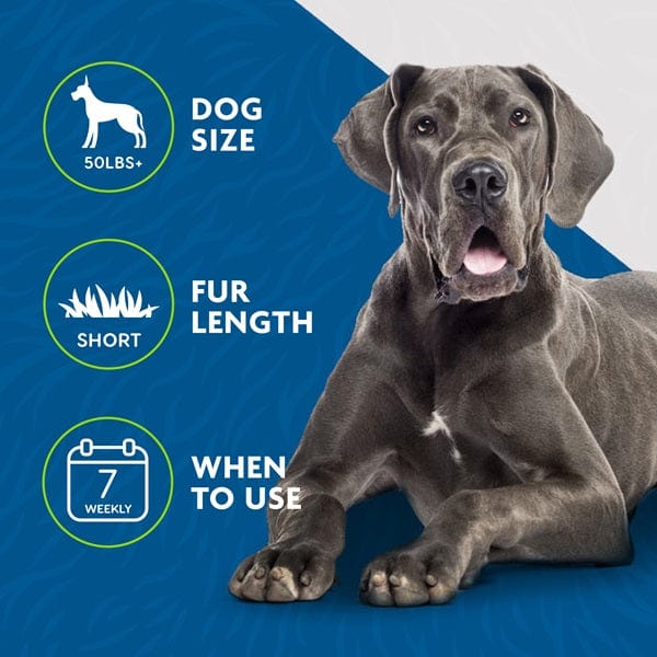 FURminator Large-Sized deShedding Tool for Short-Haired Big Dogs
