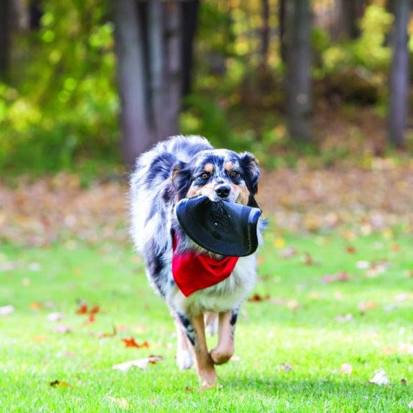 KONG Durable Extreme Flyer Dog Toy for Safe Outdoor Fetch