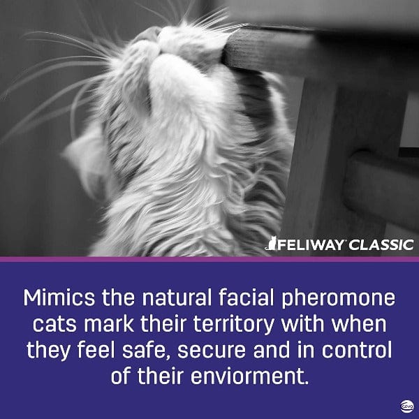 FELIWAY CLASSIC Cat Pheromone Spray for Calming and Behavior Control