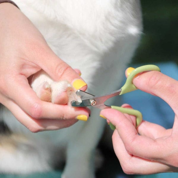 High - Quality Safari - Style Dog Nail Trimmer for Petite Dogs, Puppies, and Small Animals
