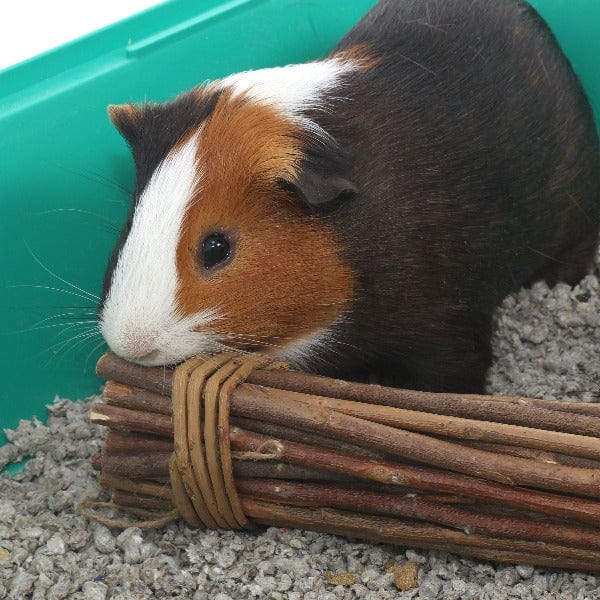 Ware Premium Mega Munch Natural Willow Chew Sticks for Small Pets