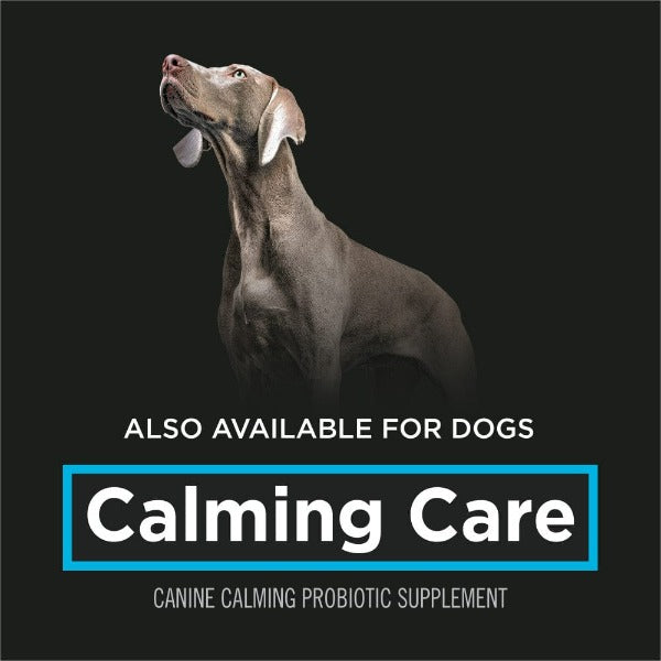 Purina Pro Plan Vet Supplements: Powdered Calming Aid for Cats