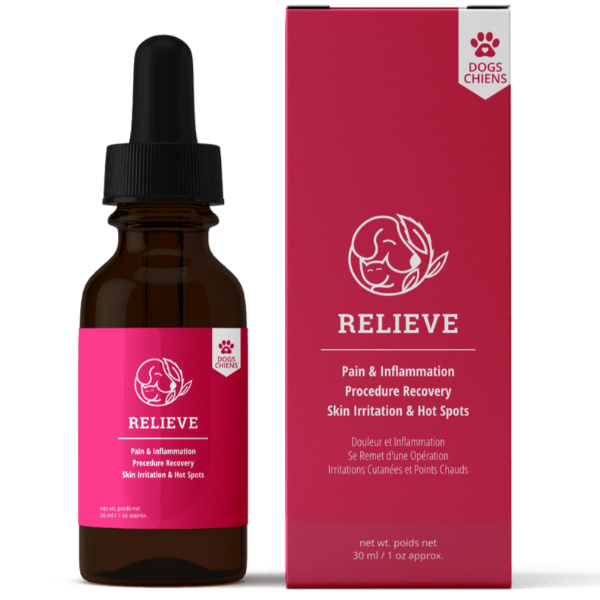 Canadian-Grown Relaxing Hemp Oil with Turmeric for Dog Relief