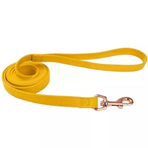 Fashionable Coastal Microfiber Dog Leash with Rose Gold Hardware