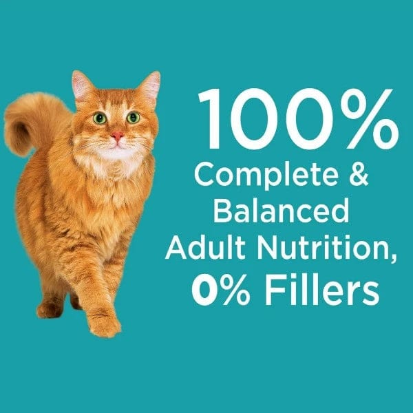 IAMS Proactive Health Premium Dry Cat Food for Indoor Cats - Weight Management and Hairball Care