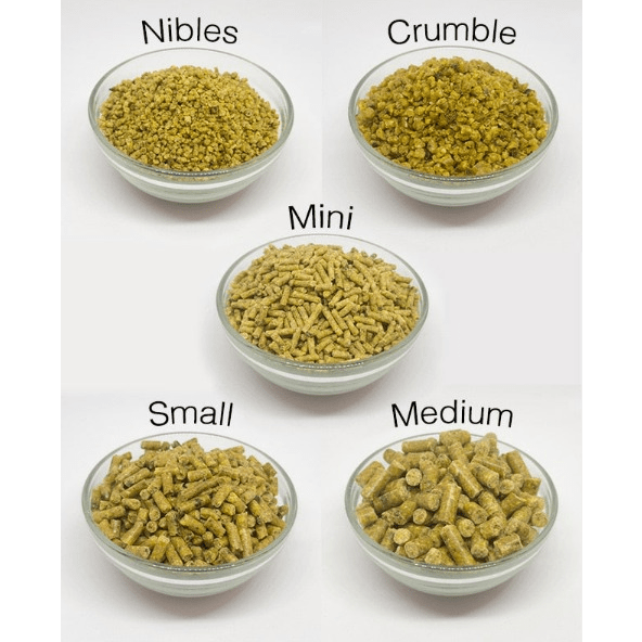Roudybush Premium Bird Maintenance Food with Various Pellet Sizes