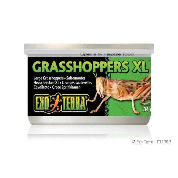 Exo Terra Canned Grasshoppers - Special Reptile Food with High Nutrition
