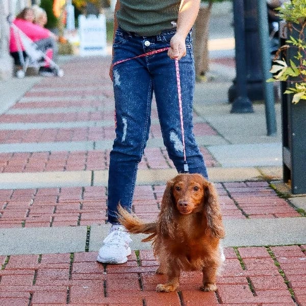 Li'l Pals Stylish Dog Leash with Easy - Clip E - Z Snap