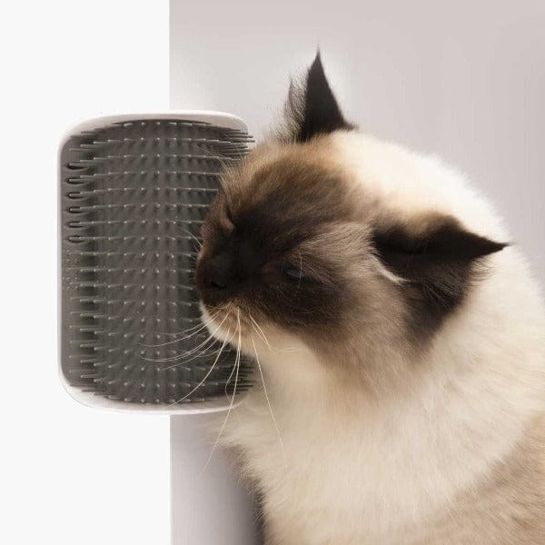 Catit Senses 2.0 Automatic Self - Grooming Brush for Cats
