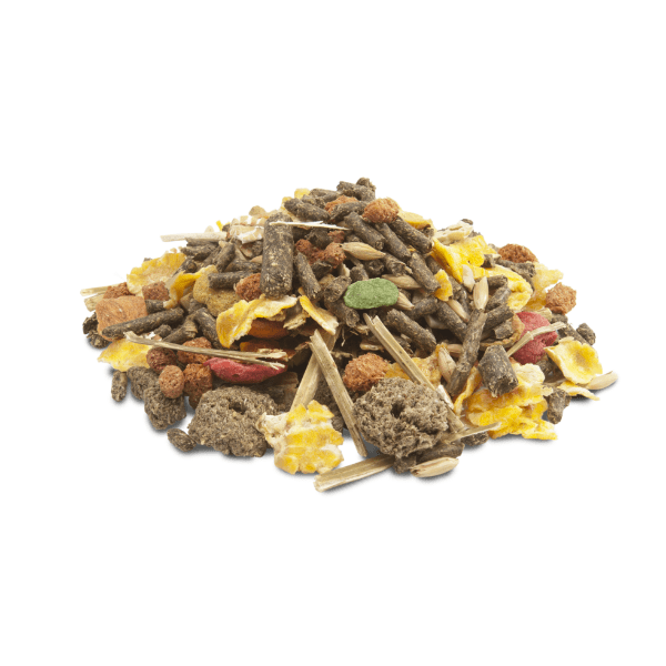 High - Quality Versele - Laga Crispy Muesli Guinea Pig Food for Optimal Health