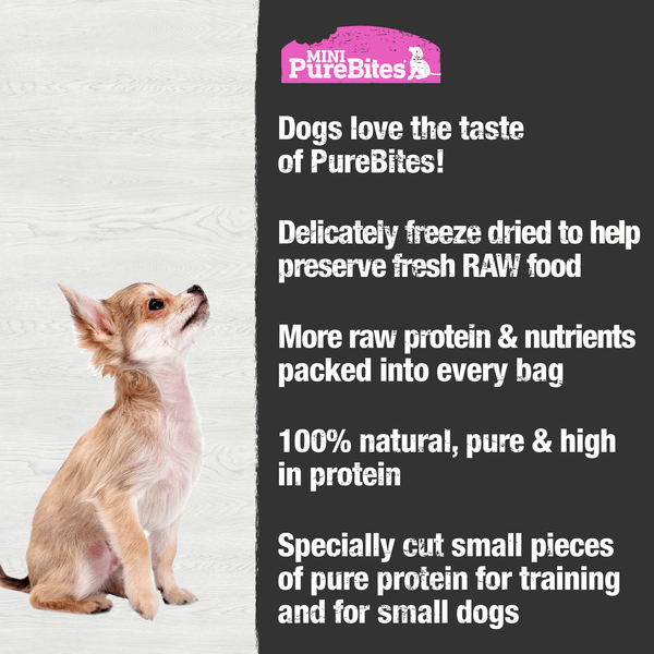 PureBites Freeze - Dried Mini - Sized Training Treats for Dogs Made from Wild - Caught Salmon, 49g Package