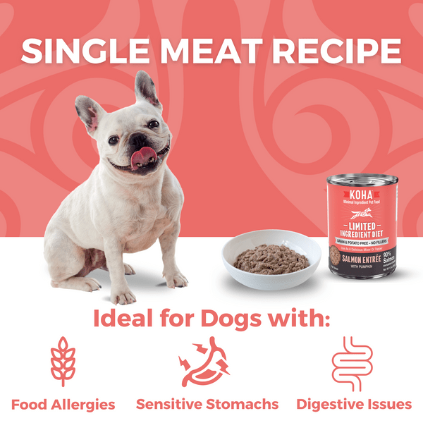 KOHA High - Protein Canned Salmon Entrée Dog Food for Sensitive Pets