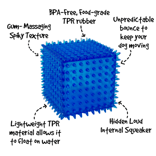 Gnawsome Interactive Spiky Squeaking Cube Dog Chew Toy
