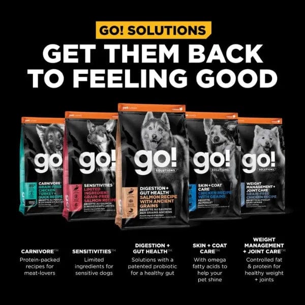 Go! Solutions Premium Dry Dog Food - Salmon Recipe with Ancient Grains for Digestion and Gut Health