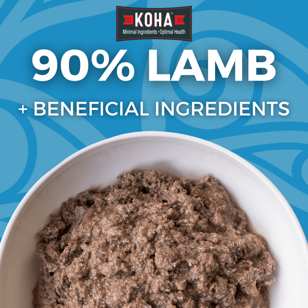 KOHA Limited Ingredient Diet Canned Lamb Entrée Dog Food for Sensitive Stomachs