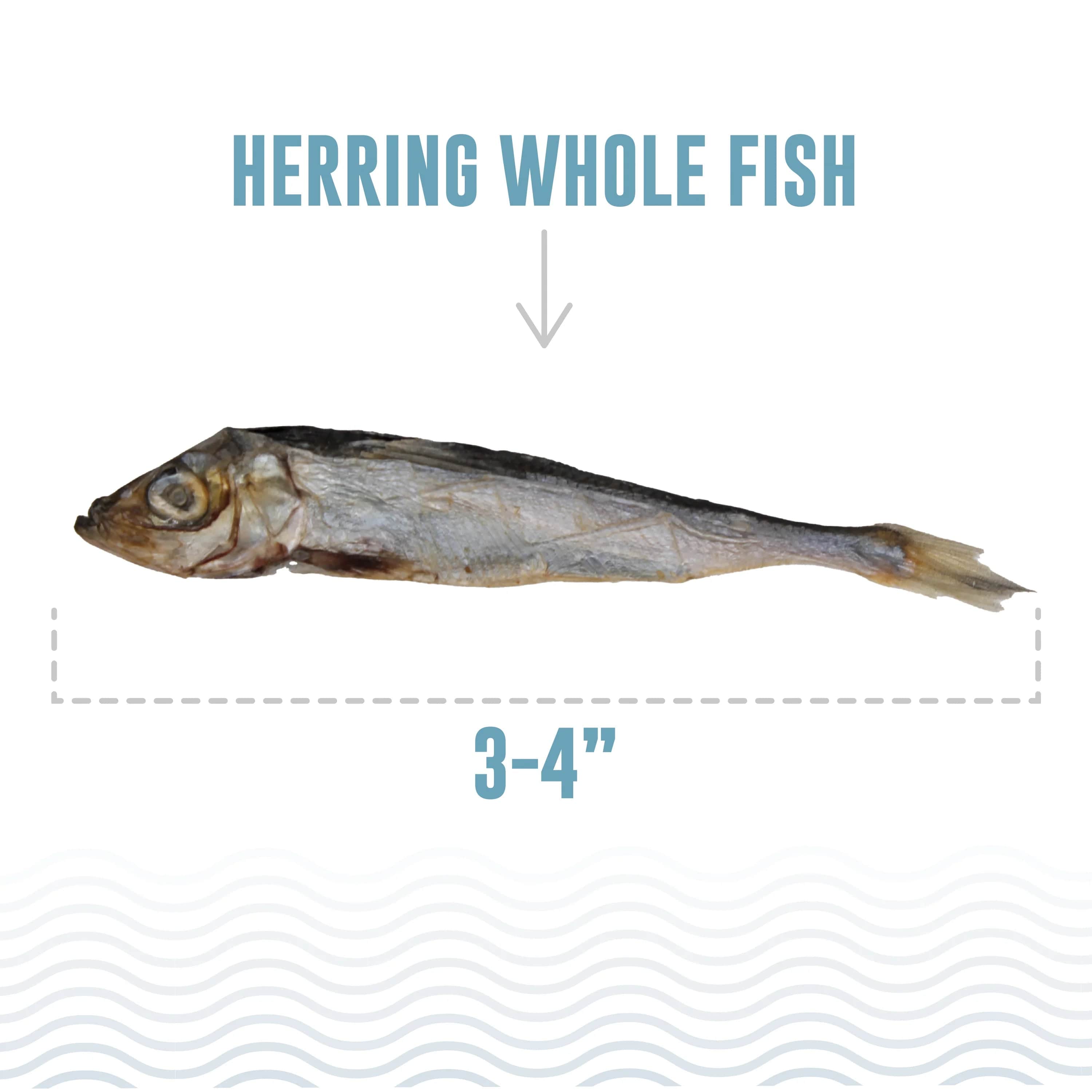 100% Pure Icelandic Whole Herring Dog Treats - A Special Order, Grain - Free Delight for Your Canine Friend