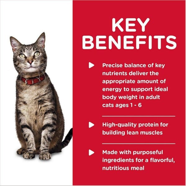 Hill's Science Diet Adult Canned Cat Food - 5.5oz Tender Chicken Dinner