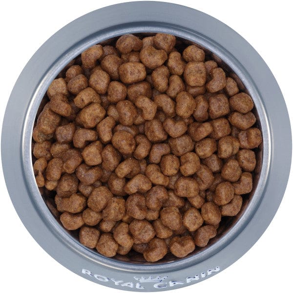 Royal Canin Premium Adult Dry Dog Food Specially Formulated for Shih Tzu Breeds