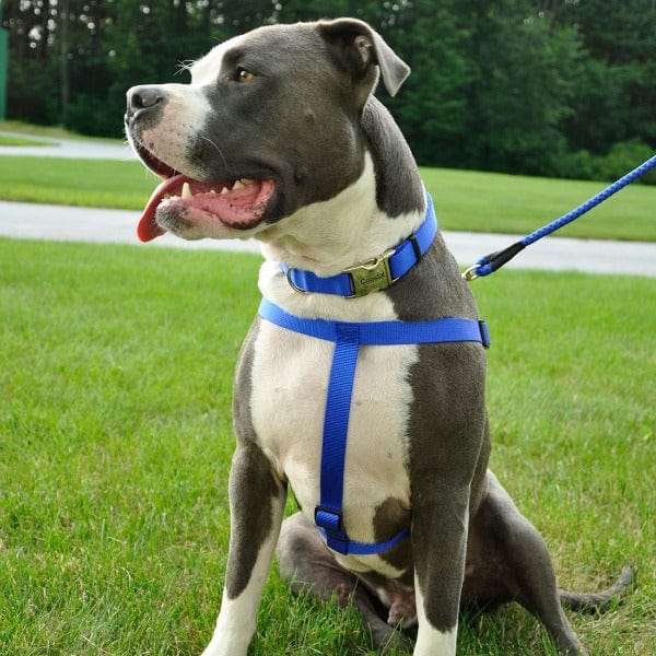 Adjustable Comfortable Nylon Wrap Dog Harness with Dual D - rings