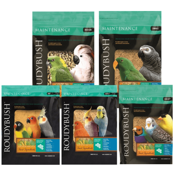 Roudybush Premium Bird Maintenance Food with Various Pellet Sizes