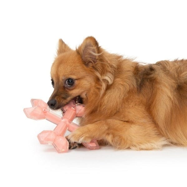 Zeus Duo Cross Bones Chew Toys with 4 Attractive Scents for Dogs