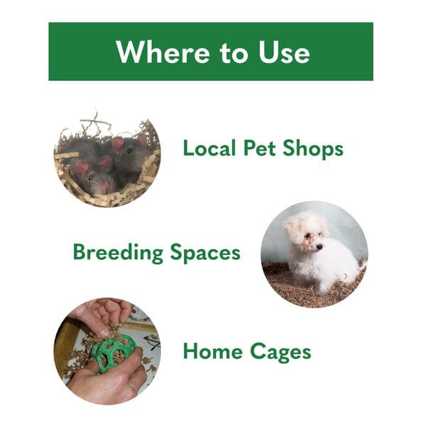 Environmentally Friendly Bedding Solutions for Small Pets
