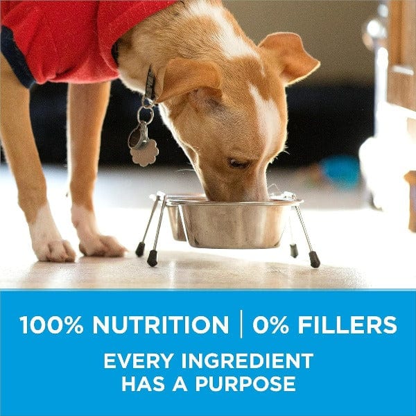 Purina ONE Plus Premium Adult Dry Dog Food Formula Specially Designed for Small Breeds, 1.81kg