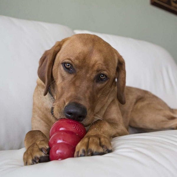 USA-Made KONG All-Natural Liver Dog Snacks for Treating Moments