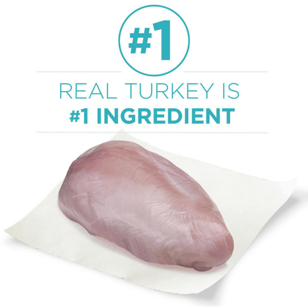 Purina ONE +Plus Premium Indoor Advantage Dry Cat Food with Real Turkey