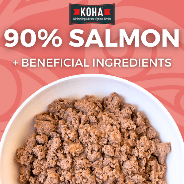 KOHA High - Protein Canned Salmon Entrée Dog Food for Sensitive Pets