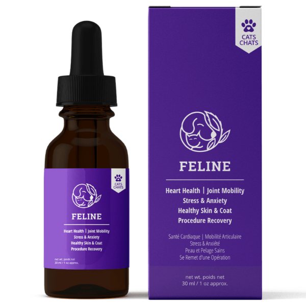 Reelax All - Natural Feline Hemp Oil Supplement for Cats' Health