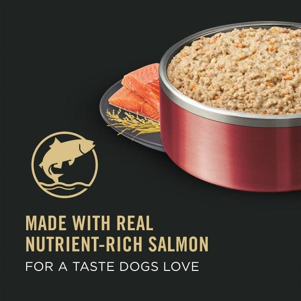 Purina Pro Plan Canned Dog Food: Salmon & Rice for Sensitive Skin and Stomach