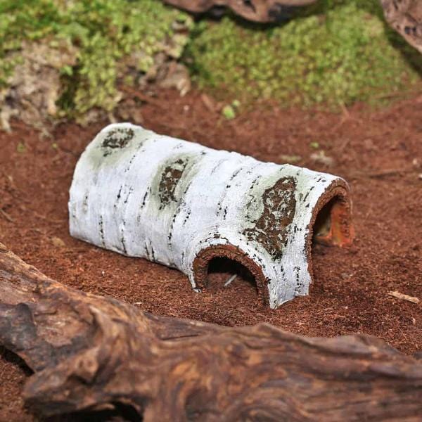 Reptizoo Authentic Poplar Tree Hide Cave for Reptiles' Exploration