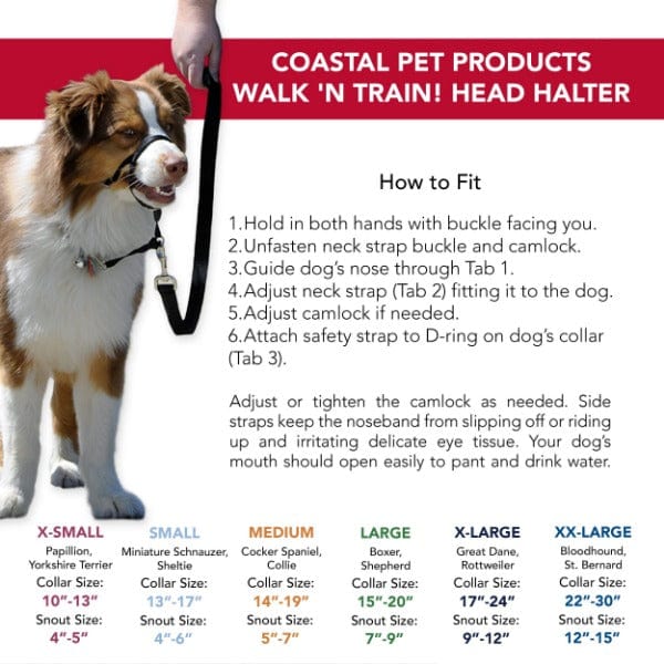 Walk 'n Train Dog Head Halter - A Fun and Effective No - Pull Solution for Dogs
