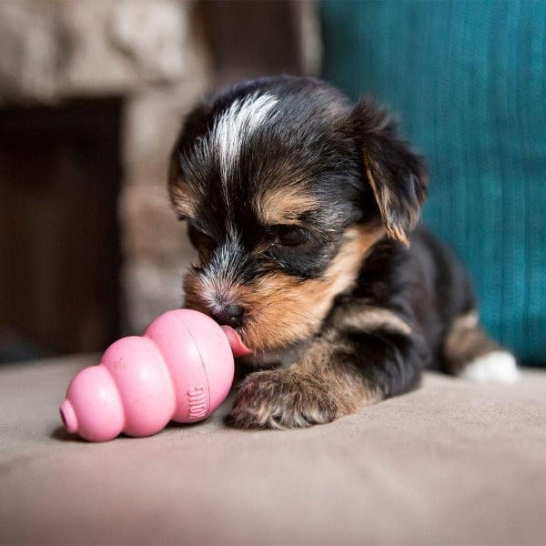 KONG Puppy Chew Toy - Ideal for Growing Puppies' Teeth