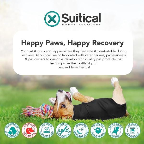 Premium Dog Recovery Suit - Suitical Brand for Post - Surgery and Various Conditions