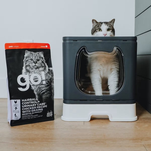 Go! Solutions Premium Dry Cat Food with Chicken Recipe and Grains for Hairball Control and Urinary Care