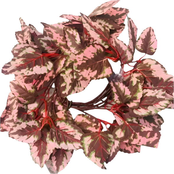 Repti Gear Coil Vines Decor - Various Styles for a Natural Terrarium