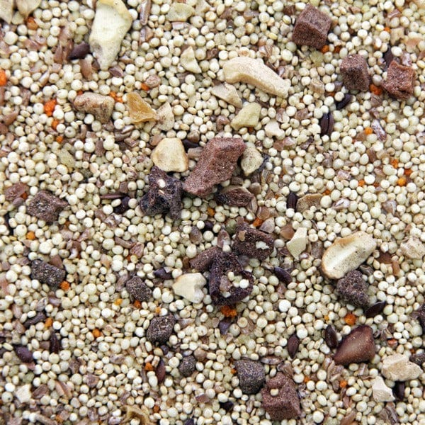 Higgins African Sunset Worldly Cuisines Bird Food Appetizer for All Birds